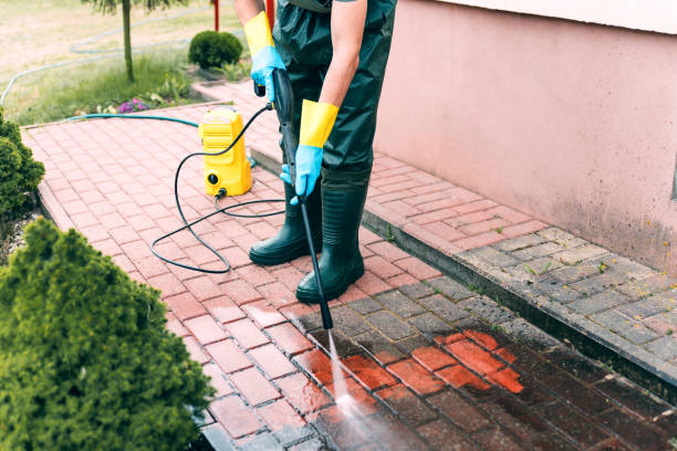 Boat and Dock Cleaning in Pinch, WV
